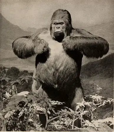 gorilla strength compared to human