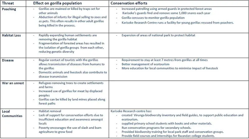 Mountain Gorilla Conservation